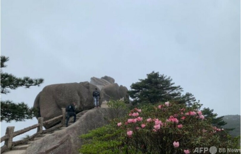 世界遺産の大自然でツツジ観賞 中国のGWで観光客にぎわう