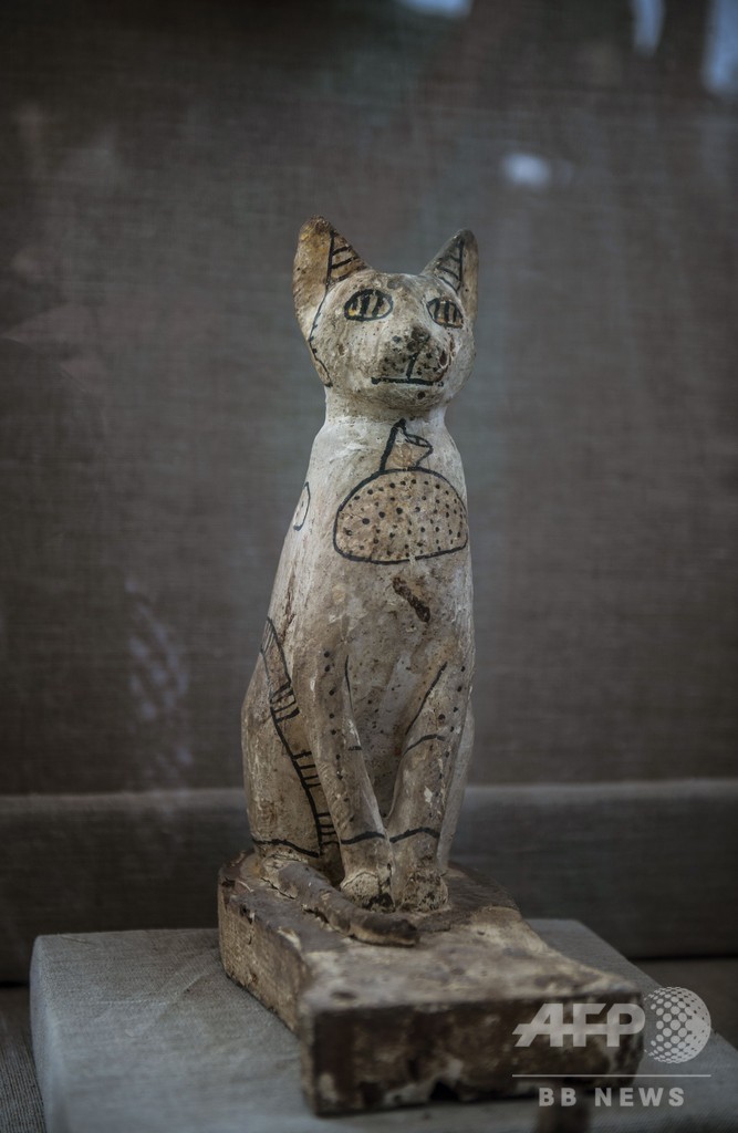 猫のミイラや銅像など発見、エジプト古代都市サッカラの遺跡