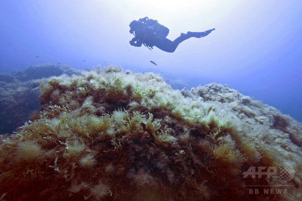 世界一深い水中洞窟見つかる チェコ 写真1枚 国際ニュース Afpbb News