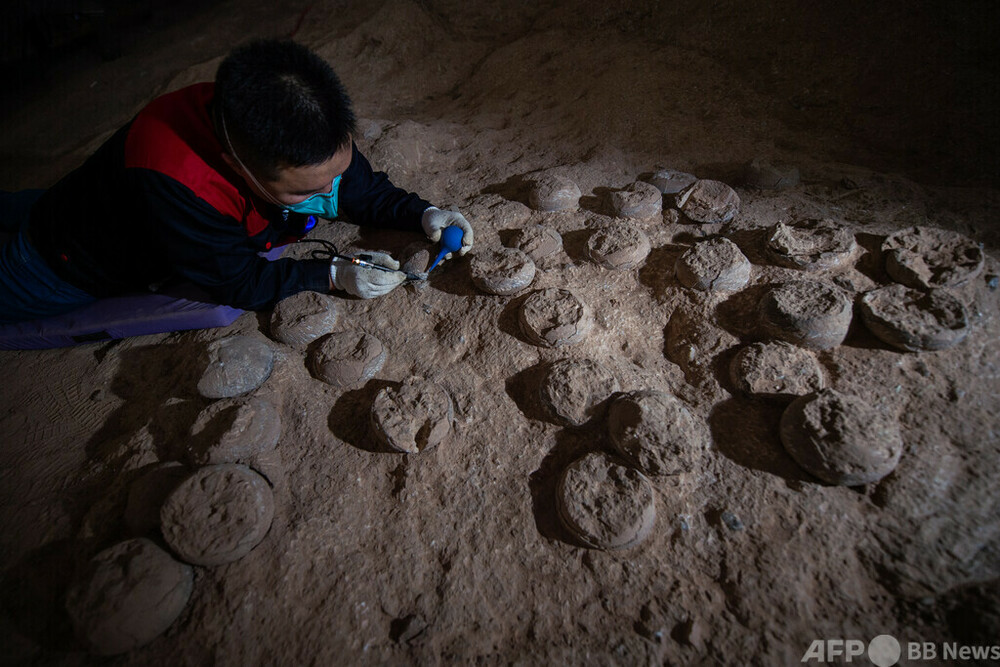 貴重) 恐竜ハドロサウルスの卵化石（3個） 中国 補修あり 貴重) 恐竜