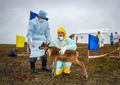ロシア・ヤマル半島のヤルセールで、トナカイの体調を診る獣医師ら。ロシア非常事態省提供（2016年8月8日提供）。(c)AFP/Russian Emergency Ministry
