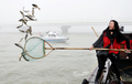 中国東部・江蘇（Jiangsu）省蘇州（Suzhou）の太湖（Taihu Lake）で、産業排水などのせいで大量発生した藻を除去するために放流される魚（2009年2月23日撮影）。(c)AFP