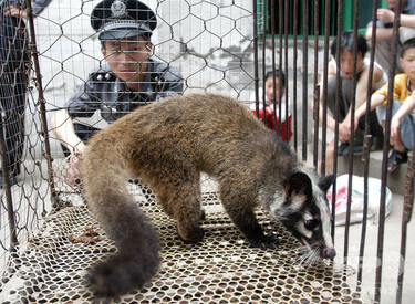 中國珍貴野生動物　中国珍貴野生動物　WILDLIFE OF CHINA　中国語？ 中國珍貴野生動物 中国珍貴野生動物 WILDLIFE OF CHINA 中国語？ 22