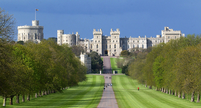 英王室、ワイン製造に進出 ウィンザーにブドウ畑