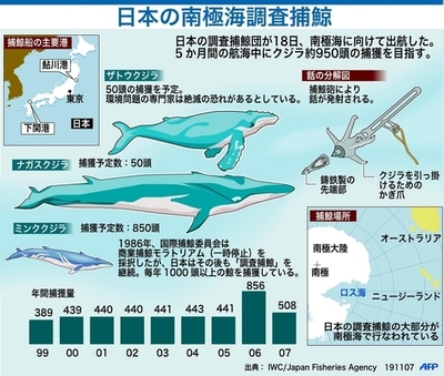 【図解】日本の調査捕鯨