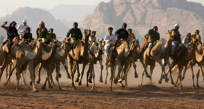 ヨルダンの砂漠で遊牧民のラクダレース