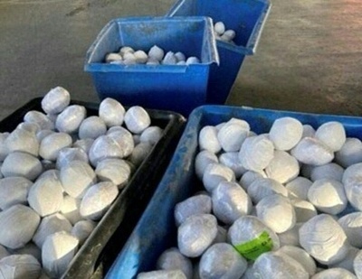 麻薬600キロを玉ネギに偽装 米で摘発