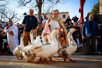 犬や猫や羊も、動物たちに祝福を スペイン