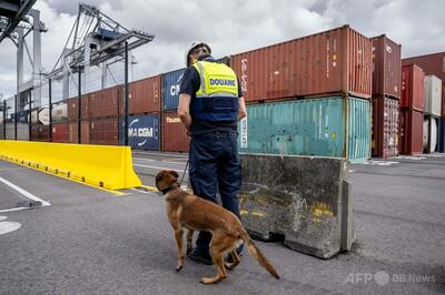 1日300万個、中国から押し寄せる小包の「津波」で溺れそう ベルギー