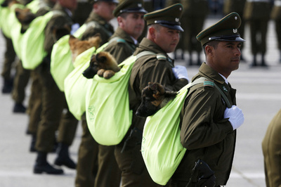 【今日の1枚】相棒と一緒に祝う独立記念日 チリ