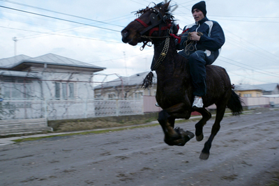 南部の村の伝統、馬の洗礼式 - ルーマニア
