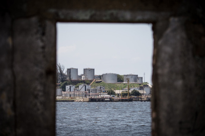 汚染の島をエデンの園に、リオで「奇跡」夢見る生態学者