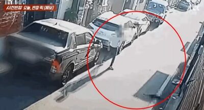 車でひき殺した猫、蹴って他人の家の前に放置…“罰当たり”韓国男性の釈明「悪意なかった」