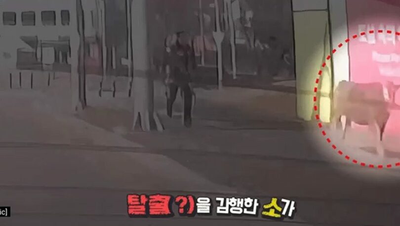 警察のYoutubeチャンネルキャプチャー(c)NEWSIS