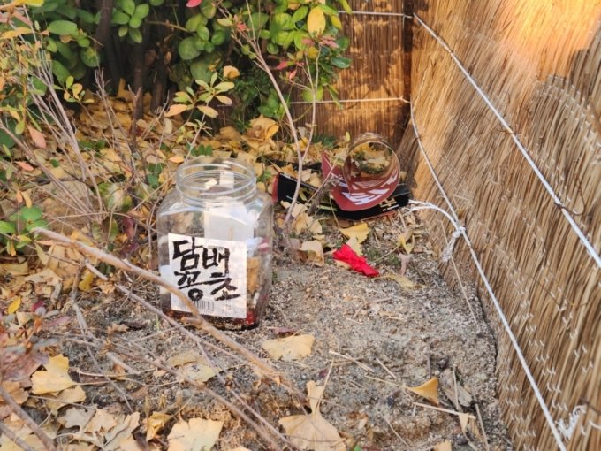 18日、三角地駅近くの商店街の前に置かれた灰皿(c)MONEYTODAY