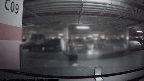 「ボベドリーム」(c)news1