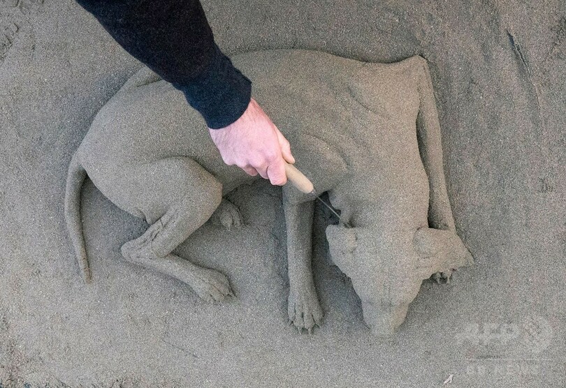 スヤスヤお昼寝、砂でできたワンちゃん オーストリア