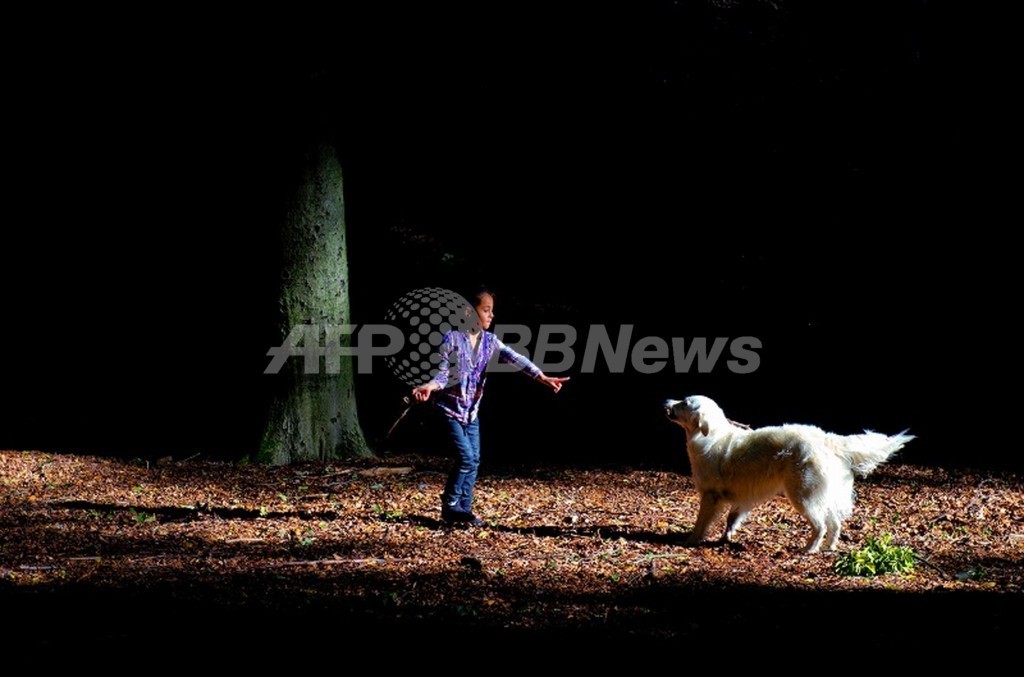 改変エイズウイルスで小児白血病の治療に成功、「家族の世界変えた」と両親 改変エイズウイルスで小児白血病の治療に成功、「家族の世界変えた」と両親