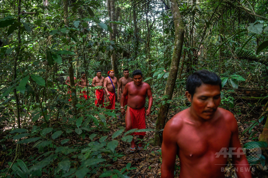 ブラジルのアマゾンの先住民族 注目ブランド - www.woodpreneurlife.com