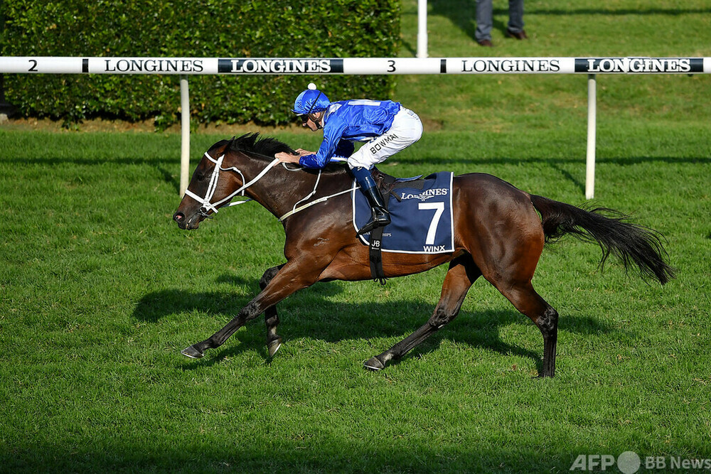 名牝馬ウィンクス産駒 豪競馬史上最高額約10億円で落札 写真1枚 国際