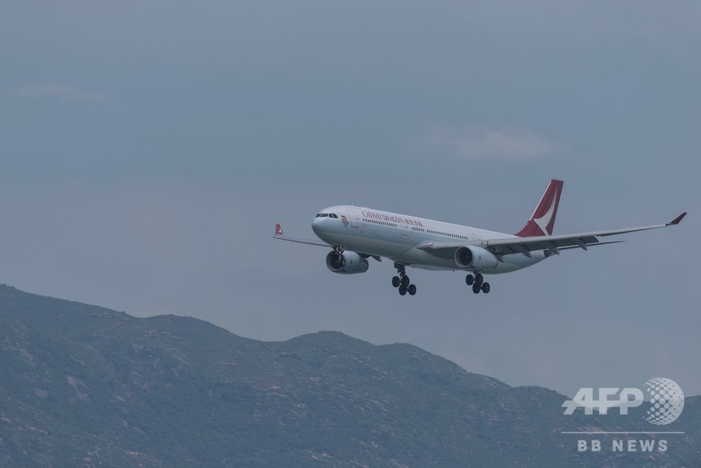 【超希少・限定】Airbus A330 キャセイドラゴン 実機スキンタグ 機体記号 : B-HLJ (キャセイドラゴン) 航空機体ガイド | FlyTeam