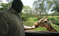 ナイロビ（Nairobi）のジラフセンター（Giraffe Center）で、キリンの餌付けをするケニア人観光客（2012年1月10日撮影）。(c)AFP/SIMON MAINA
