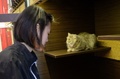 シンガポールのペットホテルにお目見えした猫専用の最高級スイート「パーフェクションスイーツ」で、従業員がトイレトレーを置くのを待つ猫（2016年2月24日撮影）。(c)AFP/ROSLAN RAHMAN