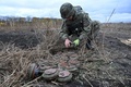 ウクライナ・ハルキウ州で回収した地雷を調べる警察官（2023年10月24日撮影）。(c)SERGEY BOBOK / AFP