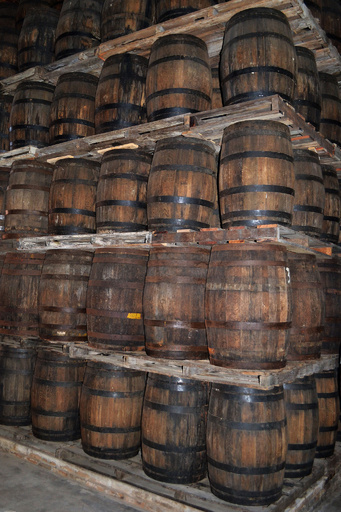 密造酒で17人死亡 インド