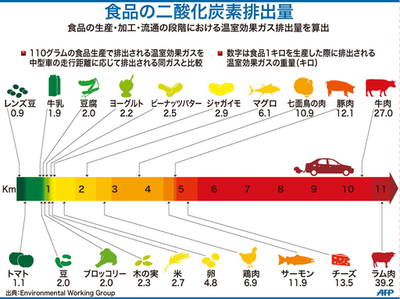 【図解】食品の二酸化炭素排出量