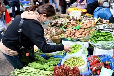 「春を食す」ブームが中国の季節経済をけん引