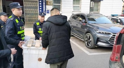 交番に十数匹の子ブタ＝中国重慶市