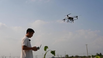 四川の若手農家、技術で「軽やかな農業」を実現