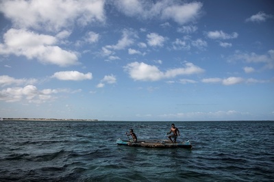 カメ食べて19人死亡 マダガスカル
