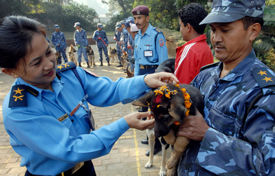 ネパールの「ティハール」祭り、犬に花飾りかけ祝福