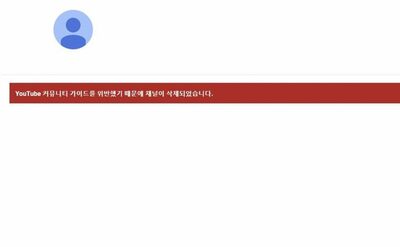 韓流アイドルのデマ拡散、PV伸ばす悪質ユーチューバー…結局、締め出される