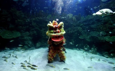 「春節」世界各地で新年祝う