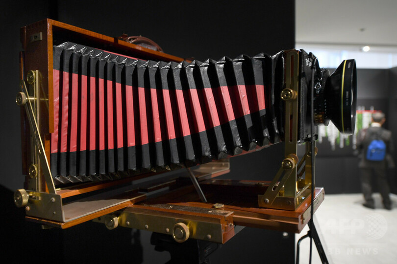 自然生態の縮図が水槽に、ネイチャーアクアリウム展　東京