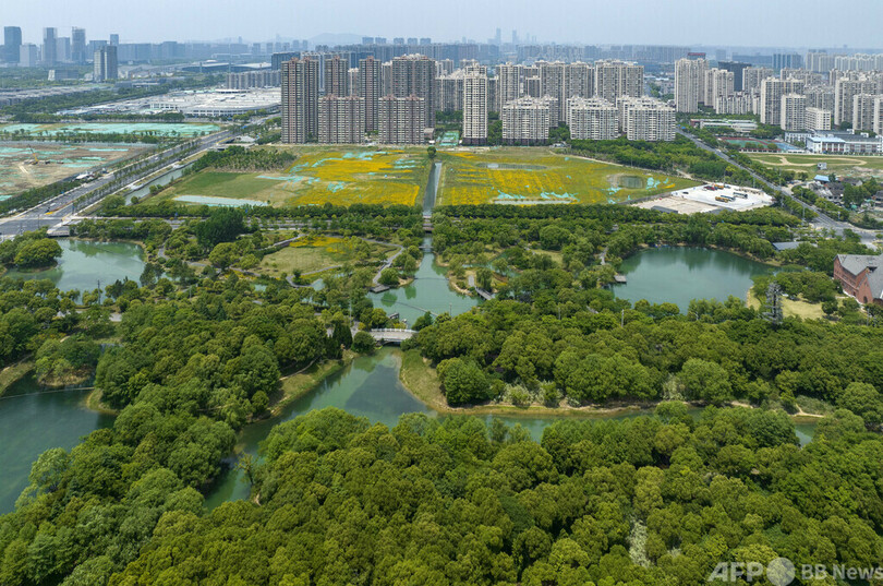 輝き取り戻す「江南の真珠」 中国・太湖の水質改善進む