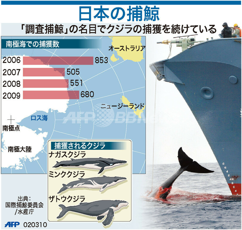 【図解】日本の捕鯨