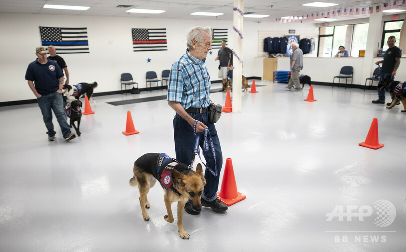 退役軍人に寄り添い心の傷を癒やす「ドッグセラピー」 米