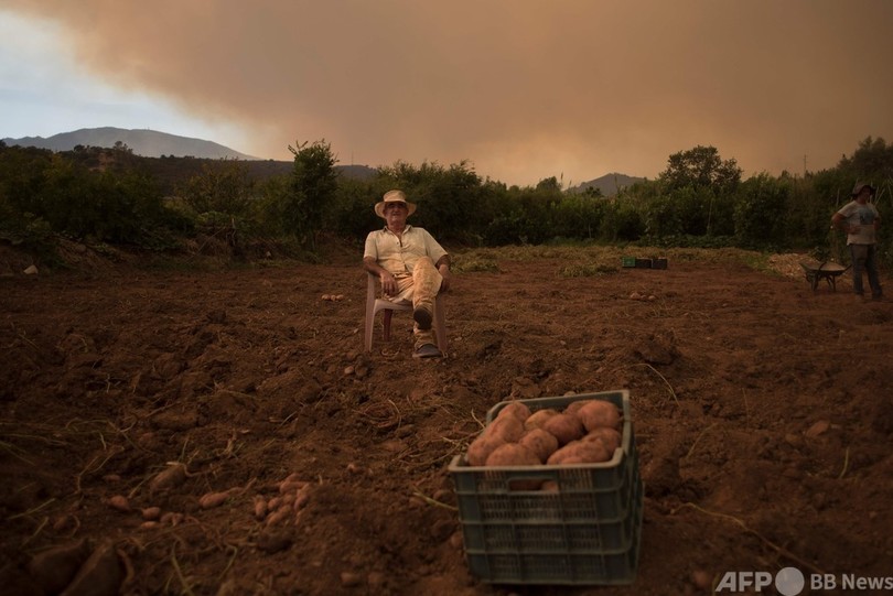 スペイン南部山火事 消防士1人犠牲に 写真10枚 国際ニュース Afpbb News