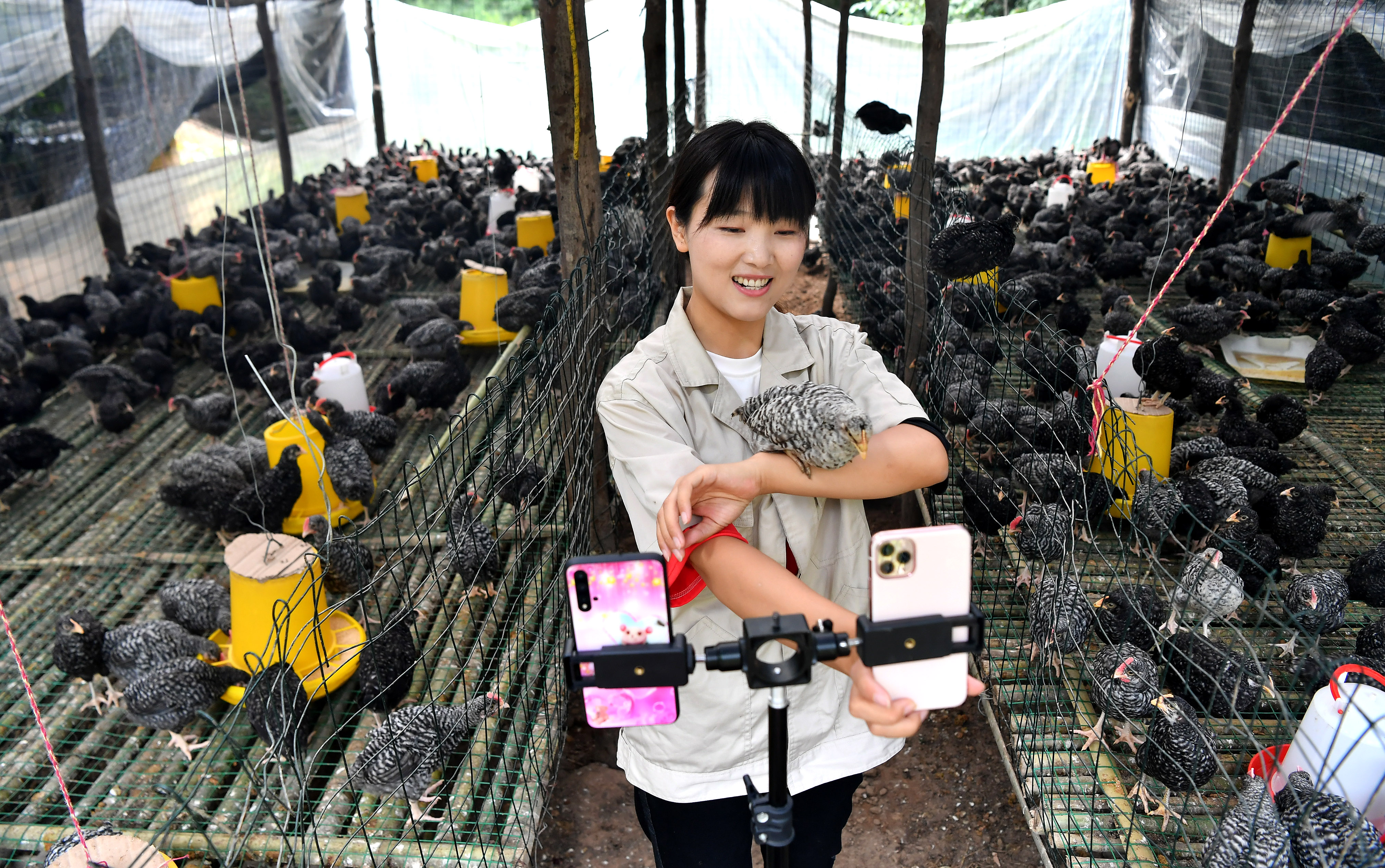 中国上半期のオンラインショッピング利用者数、前年より1億人増 中国上半期のオンラインショッピング利用者数、前年より1億人増