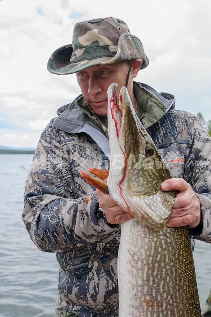 プーチン大統領、釣った魚の重さをサバ読み? プーチン大統領、釣った魚の重さをサバ読み?