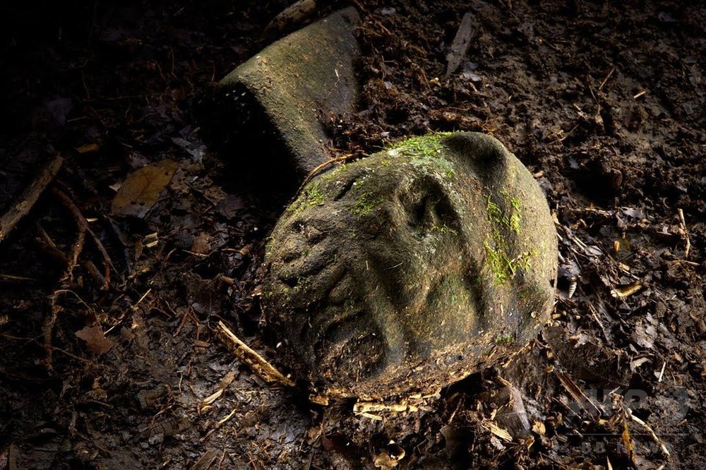 失われた「猿神の都市」、ホンジュラスの密林で発見 写真2枚 国際