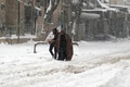 シリア北西部イドリブ県マーレトヌーマンで、雪に覆われた通りを歩く人々（2016年12月21日撮影）。(c)AFP/Mohamed al-Bakour