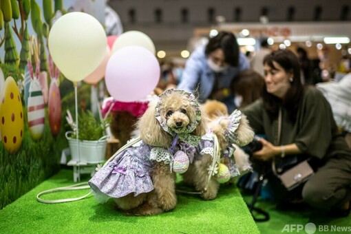 ペット 同伴 可 人気 イベント