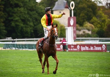 穴馬トルカータータッソが凱旋門賞優勝 クロノジェネシス7着 写真9枚 国際ニュース：AFPBB News