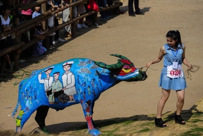 賞金160万円、水牛のボディーペイント大会 中国