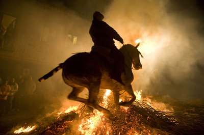 動物の守護聖人アントニオの祭、かがり火を駆け抜ける馬